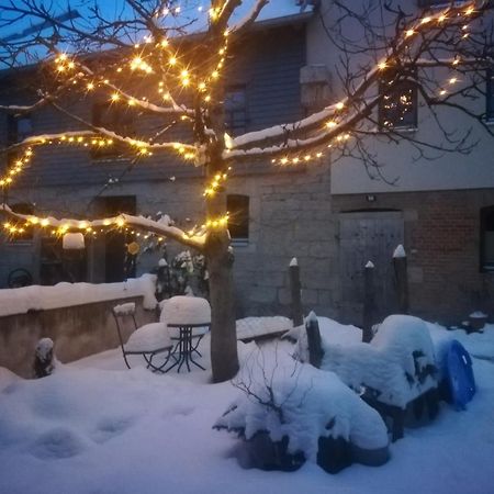 Ferienhof"Waldesel Rippersroda" Экстерьер фото