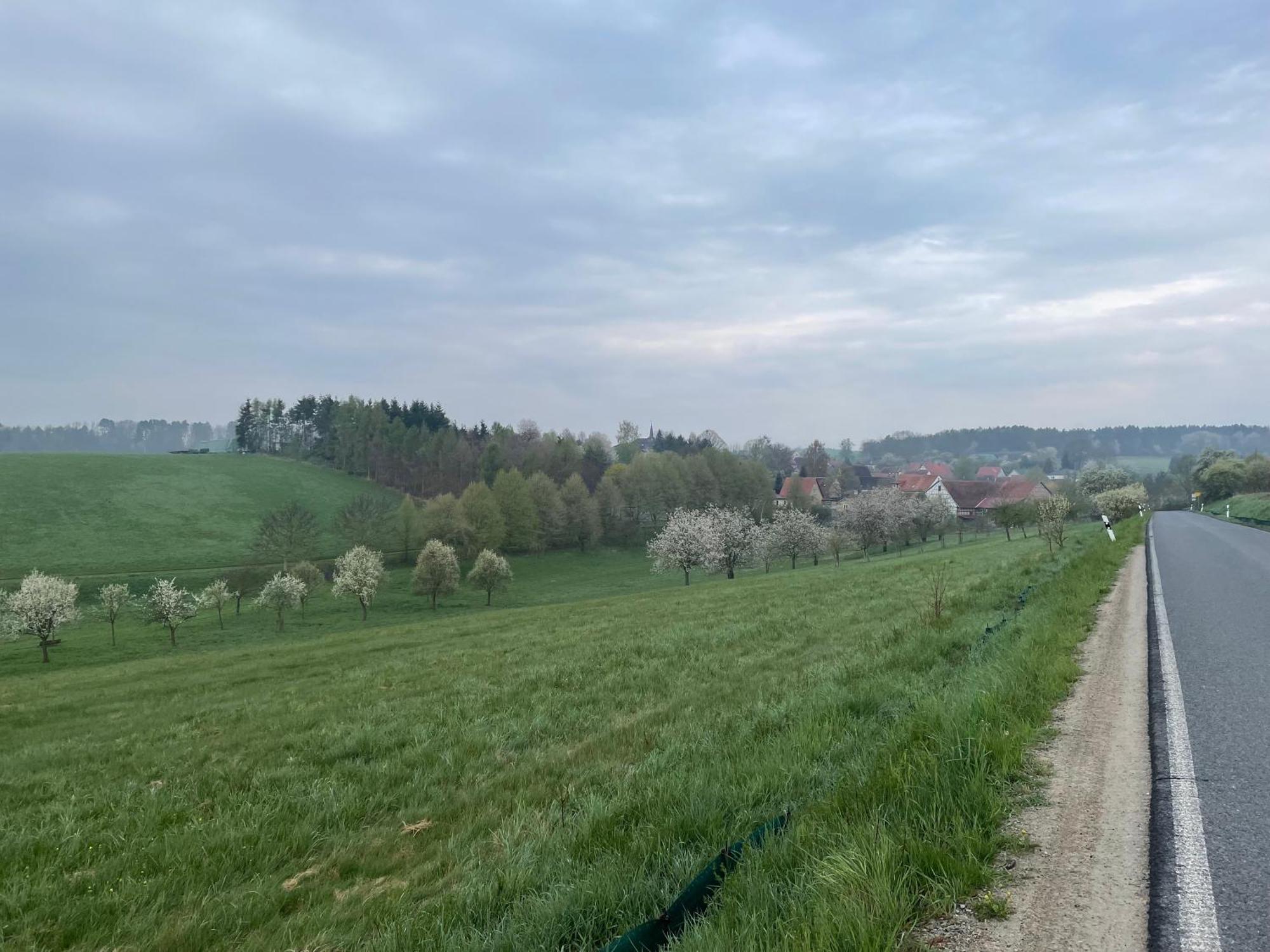 Ferienhof"Waldesel Rippersroda" Экстерьер фото