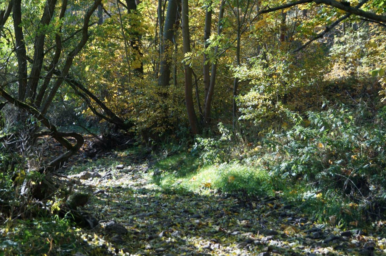 Ferienhof"Waldesel Rippersroda" Экстерьер фото